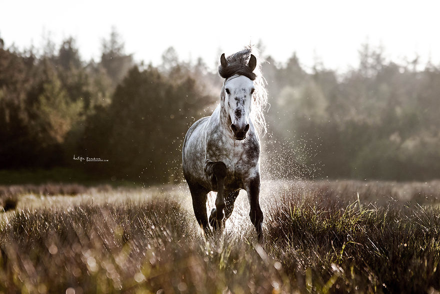 Bringing My Childhood Dreams To Life Bringing My Childhood Dreams To Life