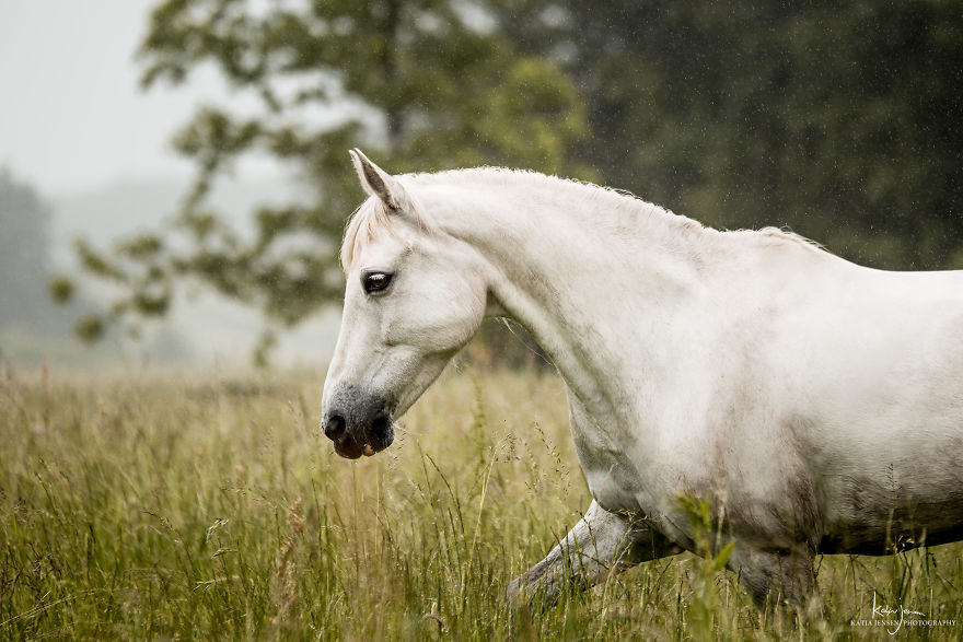 Bringing My Childhood Dreams To Life Bringing My Childhood Dreams To Life