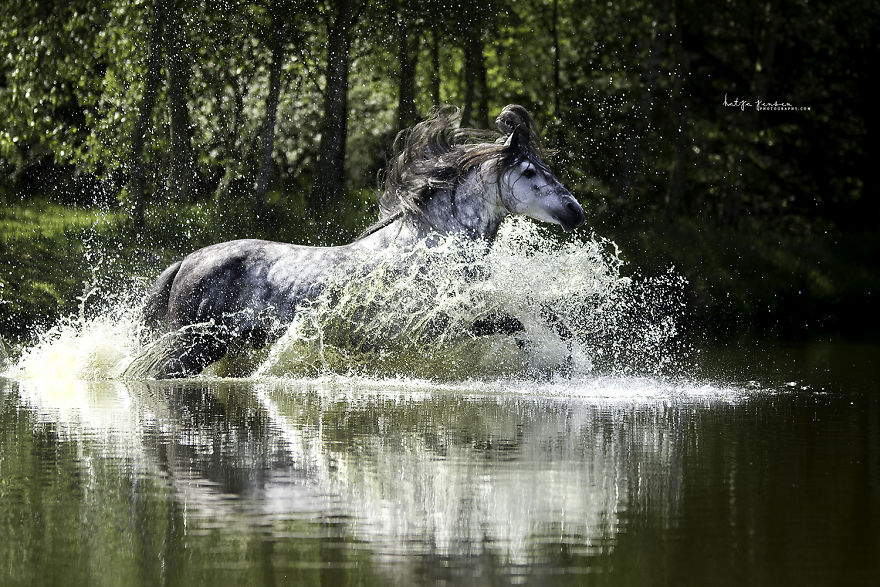 Bringing My Childhood Dreams To Life Bringing My Childhood Dreams To Life