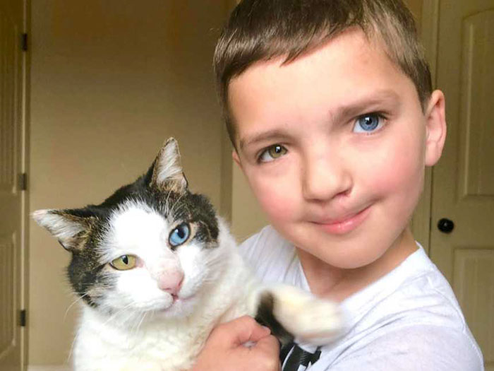 Bullied 7 Year-Old Finds Cat With Same Rare Eye Condition And Cleft Lip, And It’s Like Destiny Exists Bullied 7 Year-Old Finds Cat With Same Rare Eye Condition And Cleft Lip, And It’s Like Destiny Exists