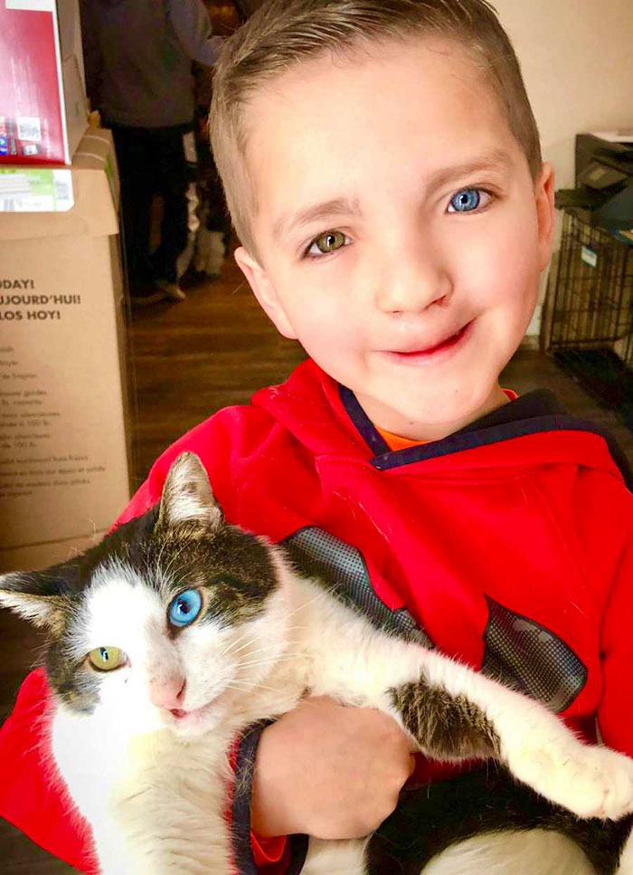 Bullied 7 Year-Old Finds Cat With Same Rare Eye Condition And Cleft Lip, And It’s Like Destiny Exists Bullied 7 Year-Old Finds Cat With Same Rare Eye Condition And Cleft Lip, And It’s Like Destiny Exists