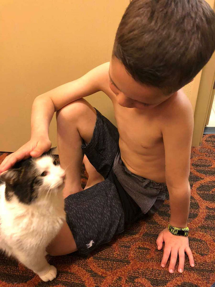 Bullied 7 Year-Old Finds Cat With Same Rare Eye Condition And Cleft Lip, And It’s Like Destiny Exists Bullied 7 Year-Old Finds Cat With Same Rare Eye Condition And Cleft Lip, And It’s Like Destiny Exists
