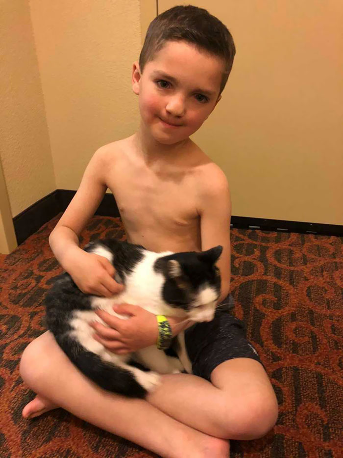 Bullied 7 Year-Old Finds Cat With Same Rare Eye Condition And Cleft Lip, And It’s Like Destiny Exists Bullied 7 Year-Old Finds Cat With Same Rare Eye Condition And Cleft Lip, And It’s Like Destiny Exists