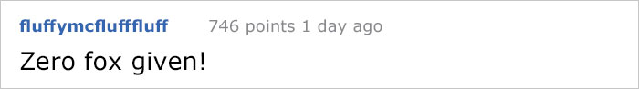 Guy Gets Too Close To Wild Fox While Snapchatting It, And Now He Wishes He Hadn’t Guy Gets Too Close To Wild Fox While Snapchatting It, And Now He Wishes He Hadn’t