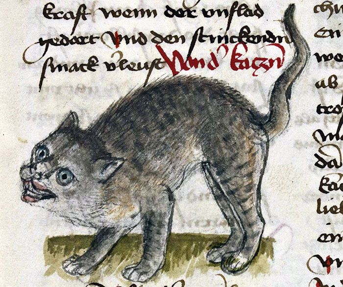 Someone Noticed How Ugly Medieval Cat Paintings Are, And It’s Too Funny (60 Pics) Someone Noticed How Ugly Medieval Cat Paintings Are, And It’s Too Funny (60 Pics)