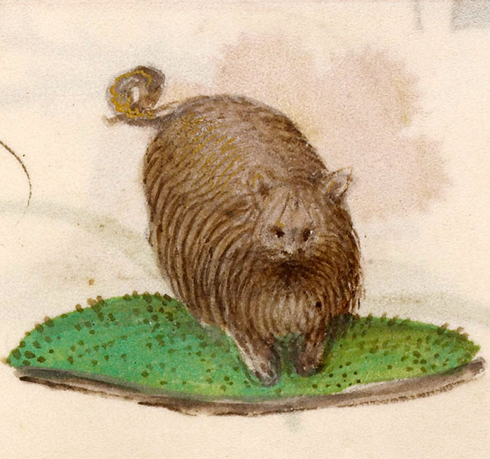 Someone Noticed How Ugly Medieval Cat Paintings Are, And It’s Too Funny (60 Pics) Someone Noticed How Ugly Medieval Cat Paintings Are, And It’s Too Funny (60 Pics)