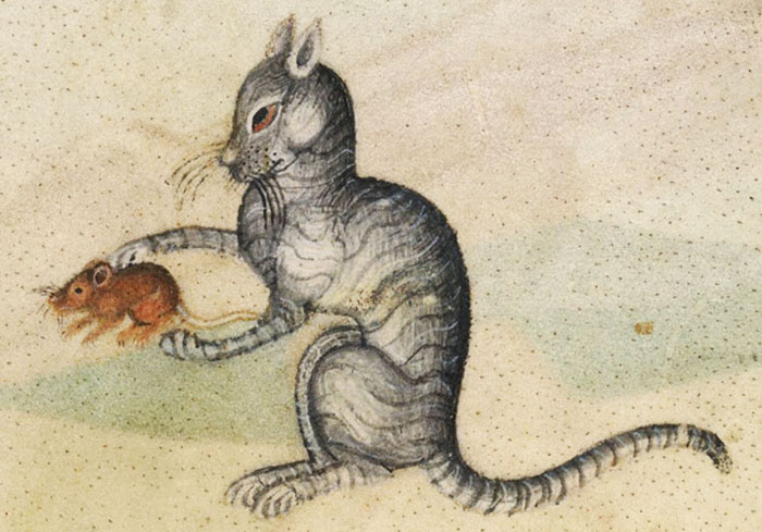 Someone Noticed How Ugly Medieval Cat Paintings Are, And It’s Too Funny (60 Pics) Someone Noticed How Ugly Medieval Cat Paintings Are, And It’s Too Funny (60 Pics)