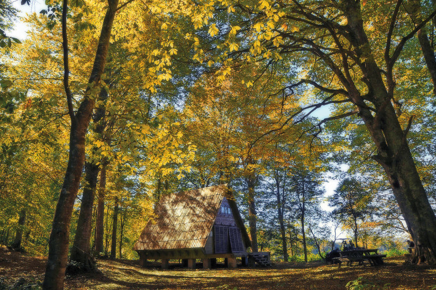 Georgia, Beyond The Little Georgia, Beyond The Little