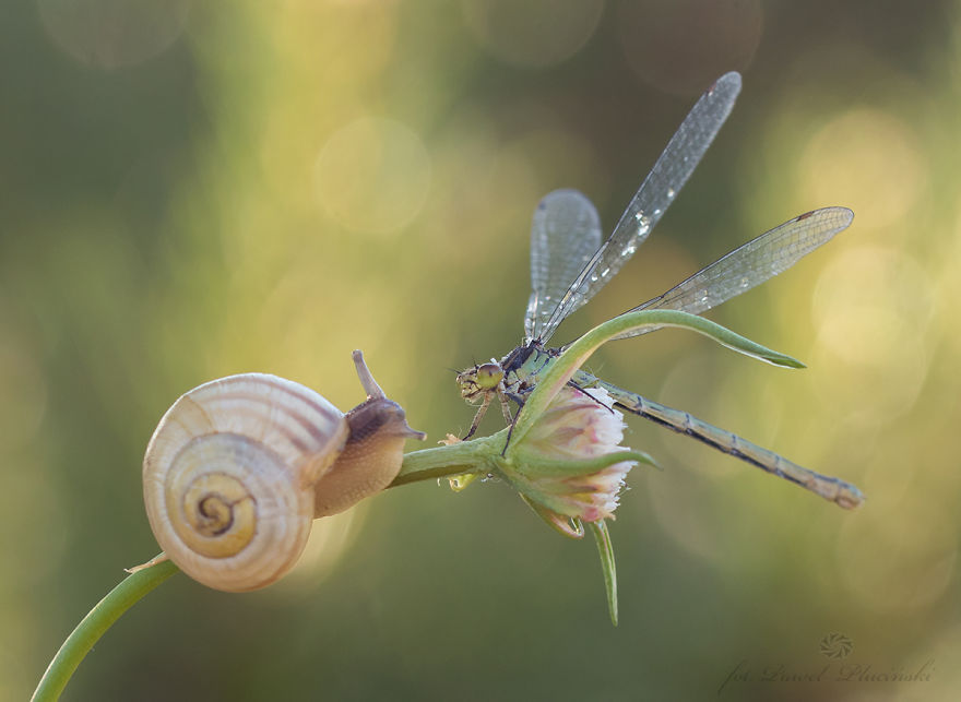 I Photograph The Beauty Of Nature I Photograph The Beauty Of Nature