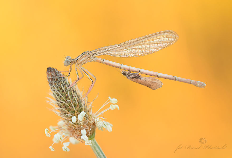 I Photograph The Beauty Of Nature I Photograph The Beauty Of Nature