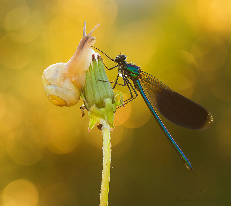 I Photograph The Beauty Of Nature I Photograph The Beauty Of Nature