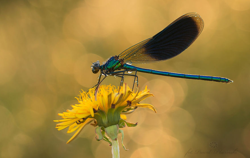 I Photograph The Beauty Of Nature I Photograph The Beauty Of Nature