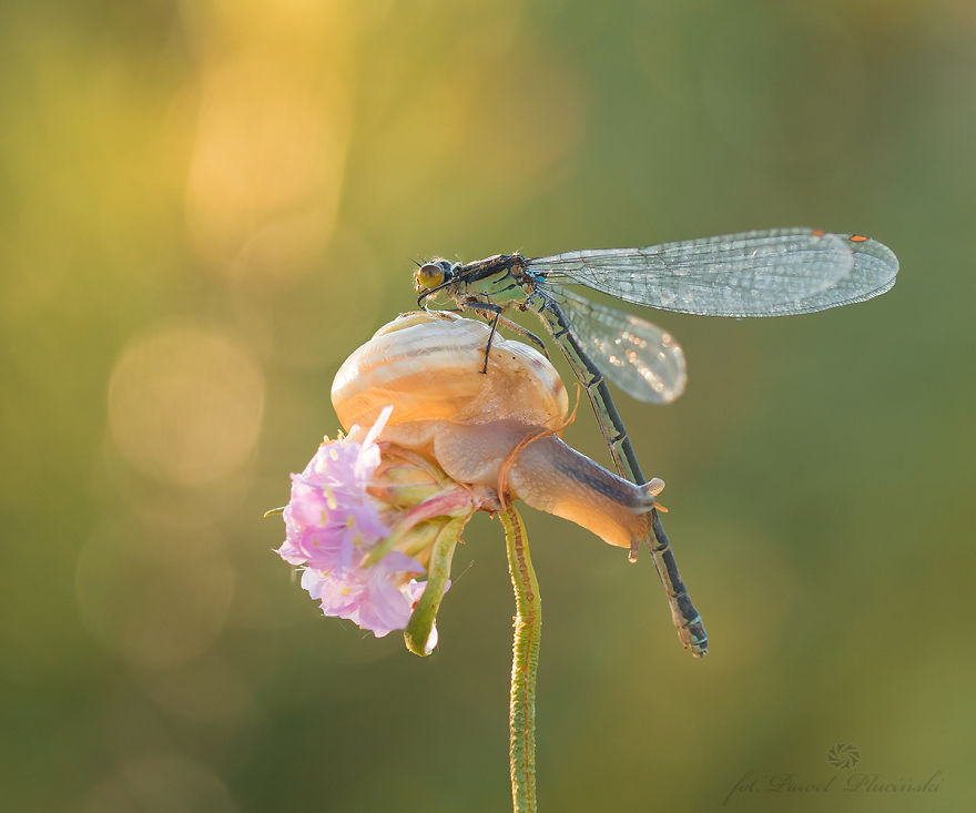 I Photograph The Beauty Of Nature I Photograph The Beauty Of Nature