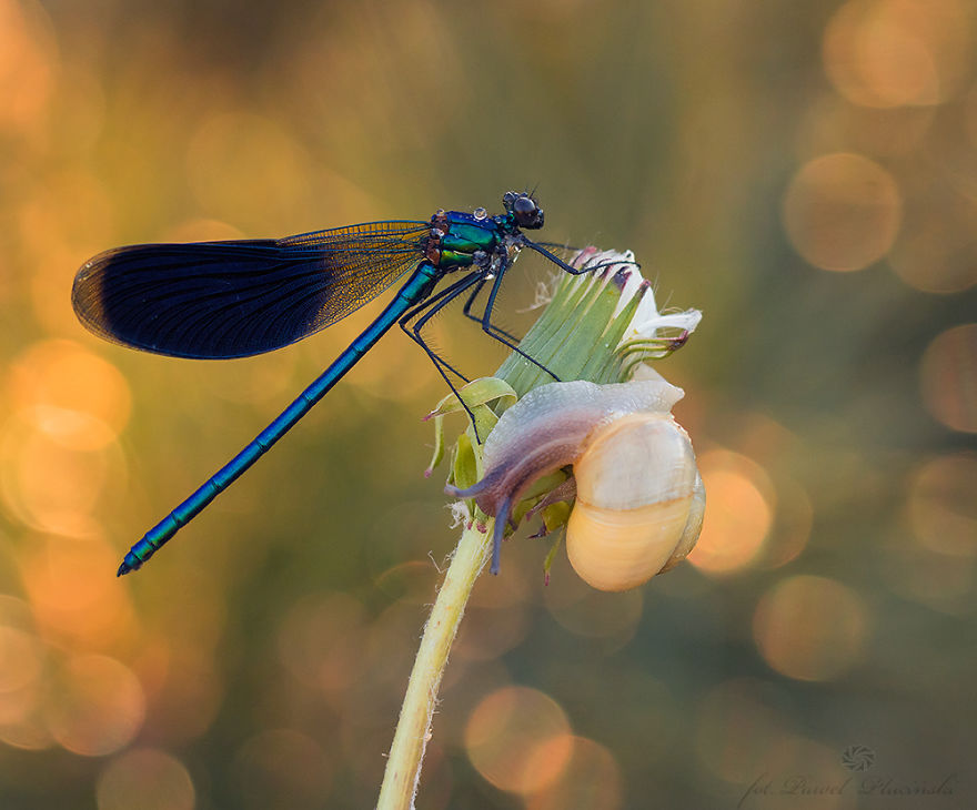 I Photograph The Beauty Of Nature I Photograph The Beauty Of Nature