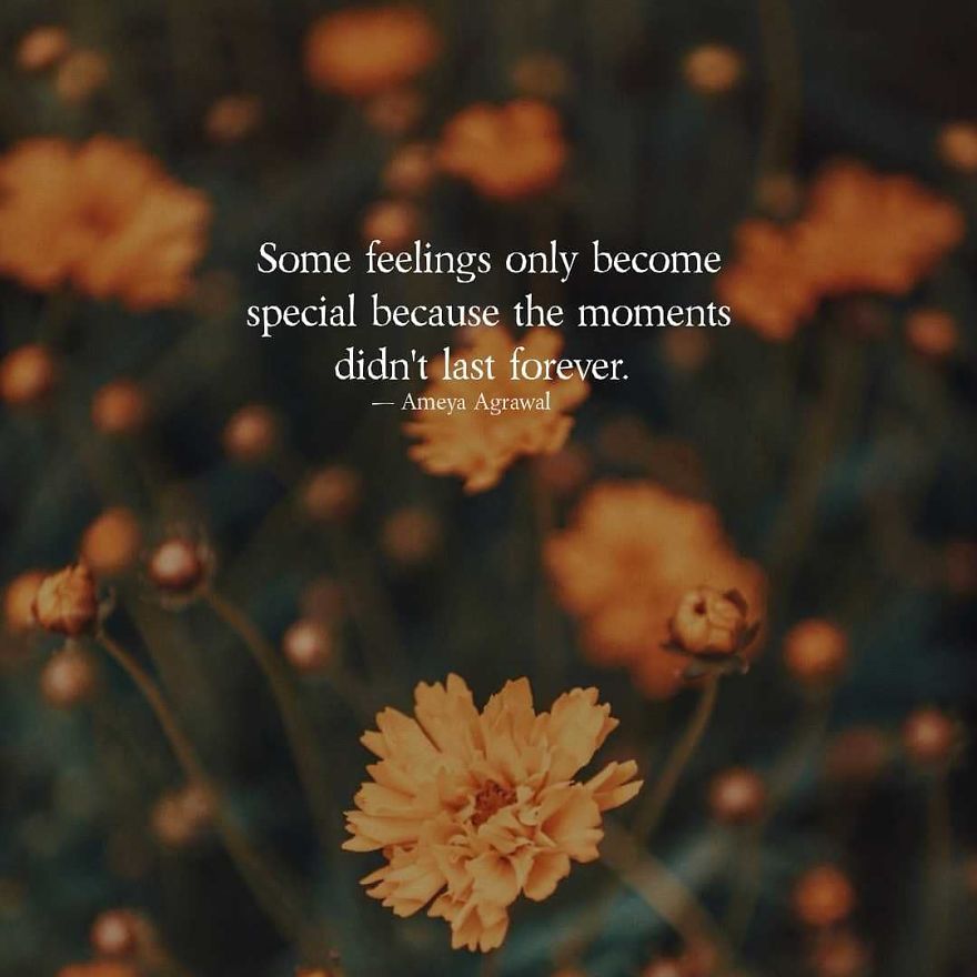 It Took Me 8 Years To Write These 18 Quotes As I Finally Started To Understand Life! It Took Me 8 Years To Write These 18 Quotes As I Finally Started To Understand Life!