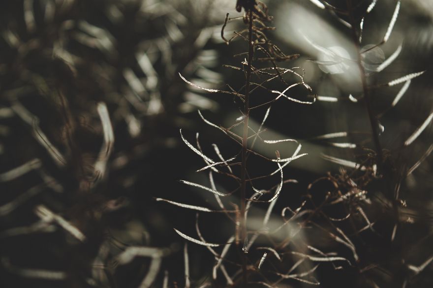 I Bought A 200$ Nikon DLSR Camera (With A 18-55mm Lens), And It Doesn’t Matter What You Have For Getting Good Pictures… I Bought A 200$ Nikon DLSR Camera (With A 18-55mm Lens), And It Doesn’t Matter What You Have For Getting Good Pictures…