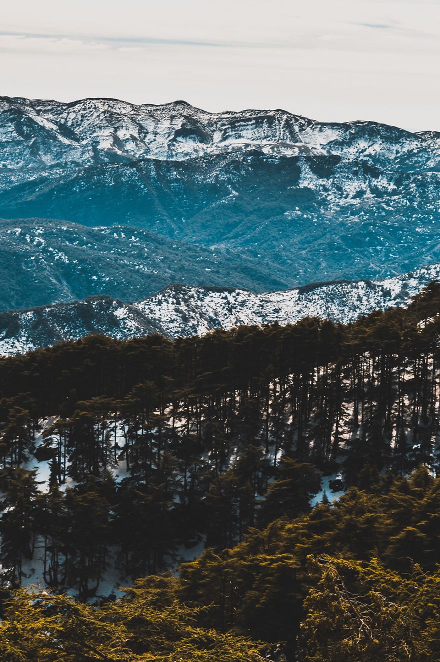 I Bought A 200$ Nikon DLSR Camera (With A 18-55mm Lens), And It Doesn’t Matter What You Have For Getting Good Pictures… I Bought A 200$ Nikon DLSR Camera (With A 18-55mm Lens), And It Doesn’t Matter What You Have For Getting Good Pictures…