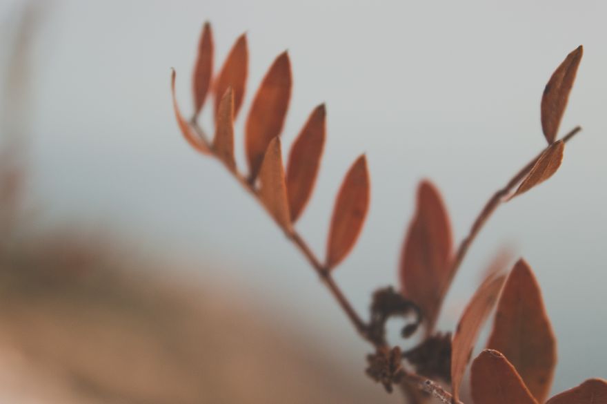 I Bought A 200$ Nikon DLSR Camera (With A 18-55mm Lens), And It Doesn’t Matter What You Have For Getting Good Pictures… I Bought A 200$ Nikon DLSR Camera (With A 18-55mm Lens), And It Doesn’t Matter What You Have For Getting Good Pictures…