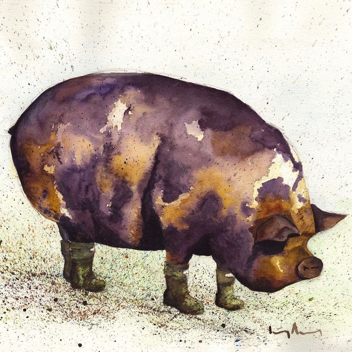 How A Doctor Became Internationally Selling For Combining Two Country Favourites How A Doctor Became Internationally Selling For Combining Two Country Favourites