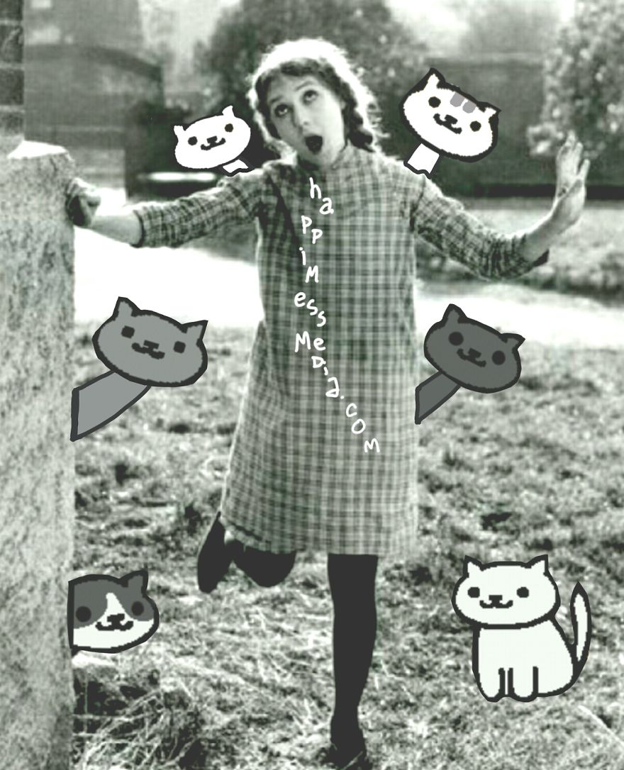 Vintage Hollywood Meets Neko Atsume  Featured In Doodle Series