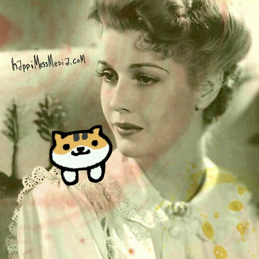 Vintage Hollywood Meets Neko Atsume  Featured In Doodle Series
