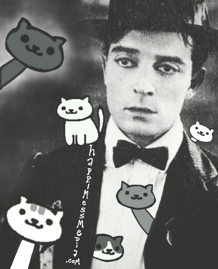 Vintage Hollywood Meets Neko Atsume  Featured In Doodle Series