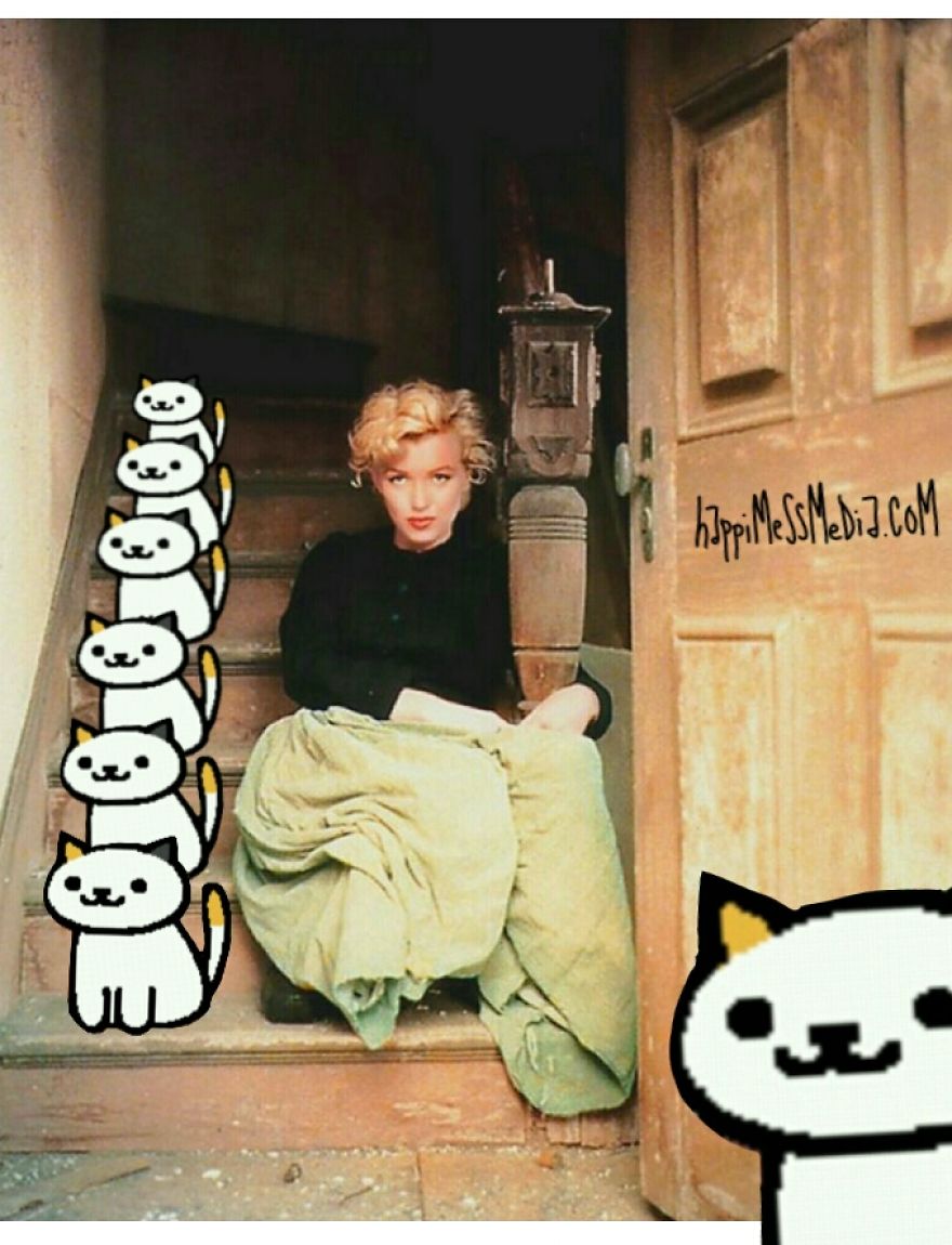 Vintage Hollywood Meets Neko Atsume  Featured In Doodle Series