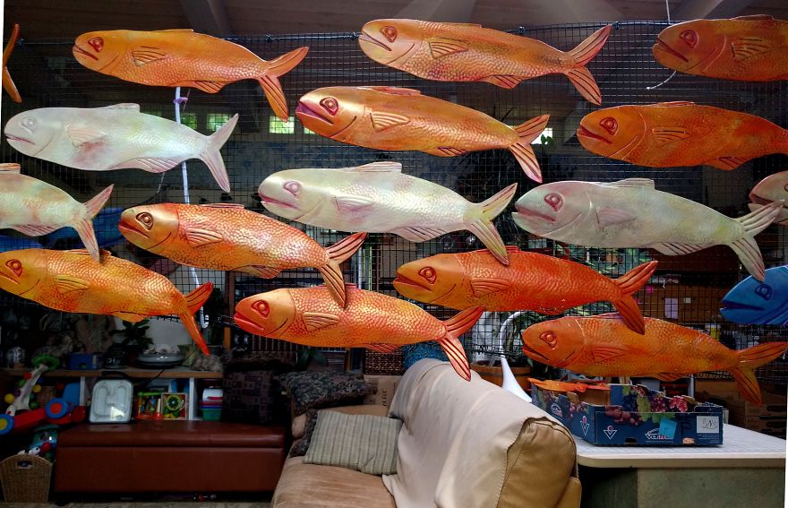 I Helped People With Blindness And Multiple Disabilities Create A 14 Foot Tall Fishnado! I Helped People With Blindness And Multiple Disabilities Create A 14 Foot Tall Fishnado!