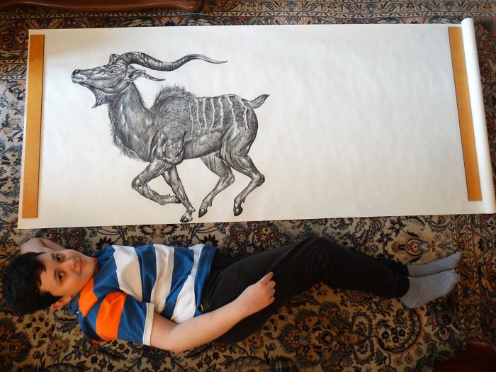 15-Year-Old Boy Prodigy Creates Animal Drawings From Memory, And They’re Even More Impressive From Up-Close 15-Year-Old Boy Prodigy Creates Animal Drawings From Memory, And They’re Even More Impressive From Up-Close