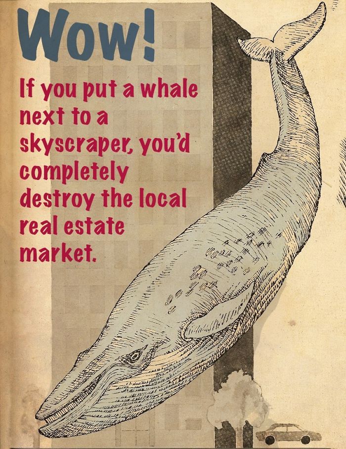 These Confusing ‘Science Facts’ Challenges Your Knowledge In A Hilarious Way These Confusing ‘Science Facts’ Challenges Your Knowledge In A Hilarious Way