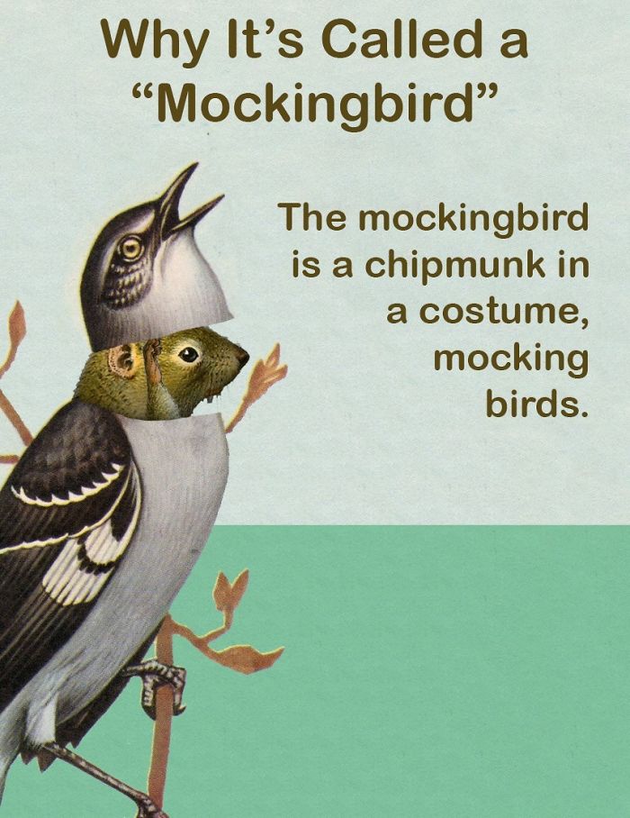 These Confusing ‘Science Facts’ Challenges Your Knowledge In A Hilarious Way These Confusing ‘Science Facts’ Challenges Your Knowledge In A Hilarious Way