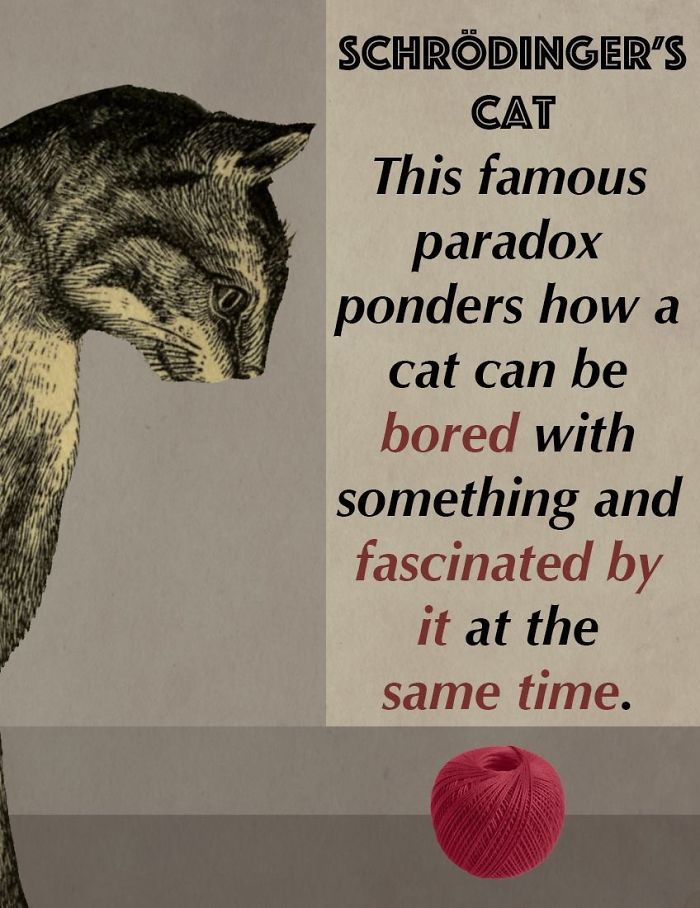 These Confusing ‘Science Facts’ Challenges Your Knowledge In A Hilarious Way These Confusing ‘Science Facts’ Challenges Your Knowledge In A Hilarious Way