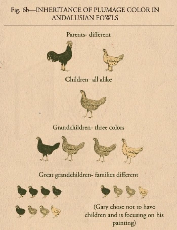 These Confusing ‘Science Facts’ Challenges Your Knowledge In A Hilarious Way These Confusing ‘Science Facts’ Challenges Your Knowledge In A Hilarious Way