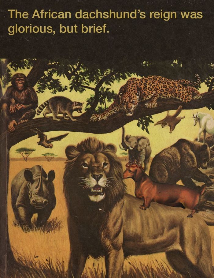 These Confusing ‘Science Facts’ Challenges Your Knowledge In A Hilarious Way These Confusing ‘Science Facts’ Challenges Your Knowledge In A Hilarious Way