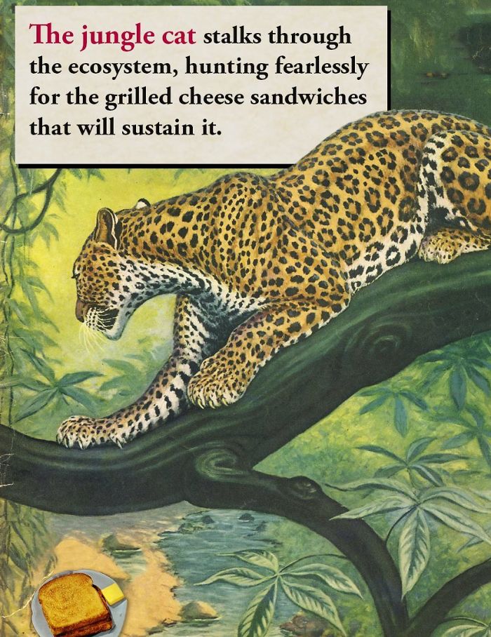 These Confusing ‘Science Facts’ Challenges Your Knowledge In A Hilarious Way These Confusing ‘Science Facts’ Challenges Your Knowledge In A Hilarious Way