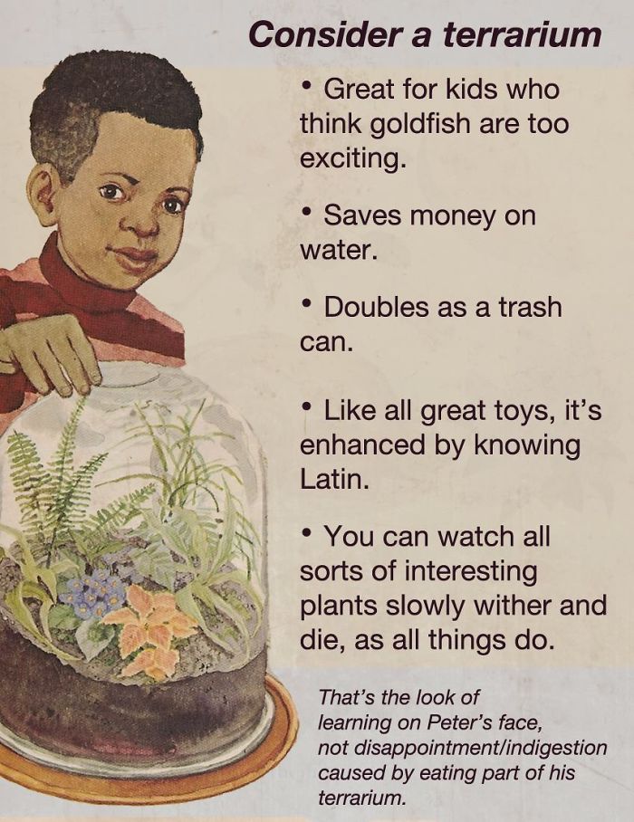 These Confusing ‘Science Facts’ Challenges Your Knowledge In A Hilarious Way These Confusing ‘Science Facts’ Challenges Your Knowledge In A Hilarious Way