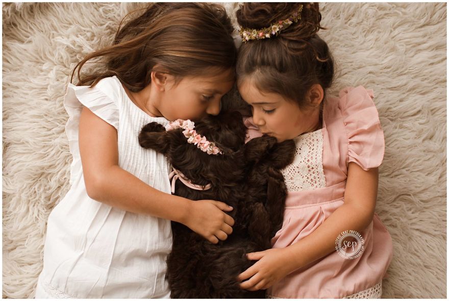 Puppy &#8216;Newborn&#8217; Pictures: I Dressed Up My Dogs