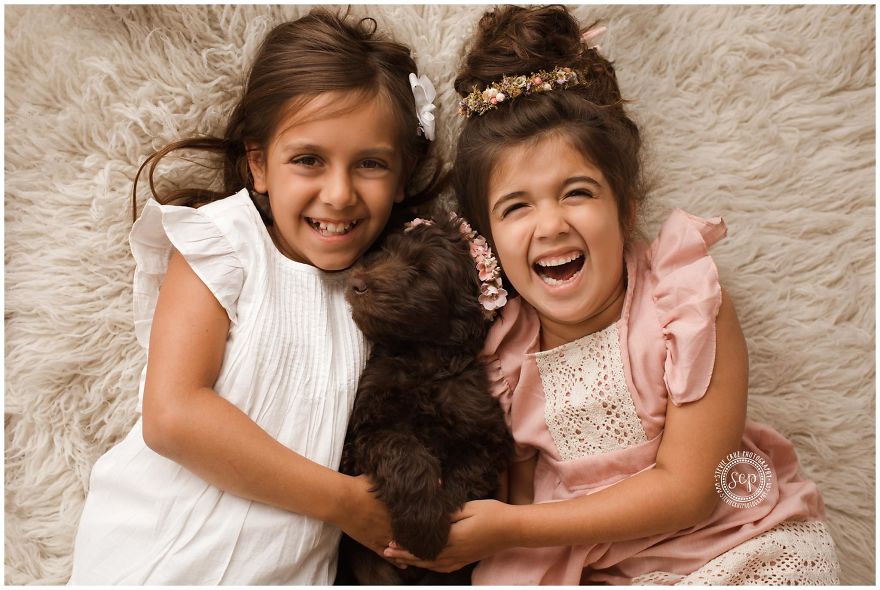 Puppy &#8216;Newborn&#8217; Pictures: I Dressed Up My Dogs