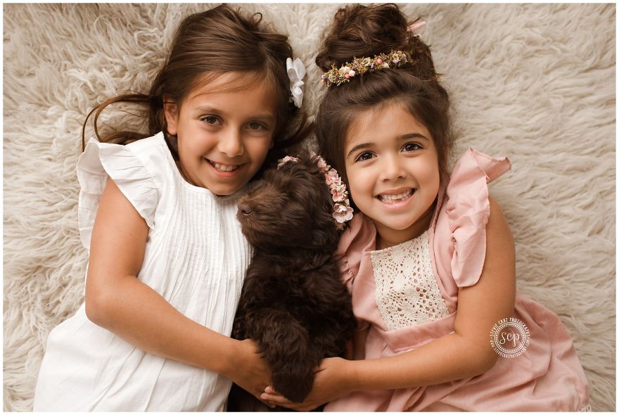 Puppy &#8216;Newborn&#8217; Pictures: I Dressed Up My Dogs