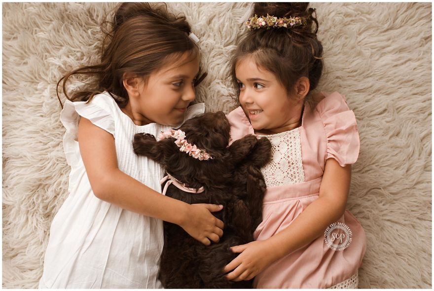 Puppy &#8216;Newborn&#8217; Pictures: I Dressed Up My Dogs