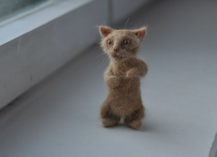 I Combed My Cat And Created A Smaller Version Of Him From His Fur I Combed My Cat And Created A Smaller Version Of Him From His Fur