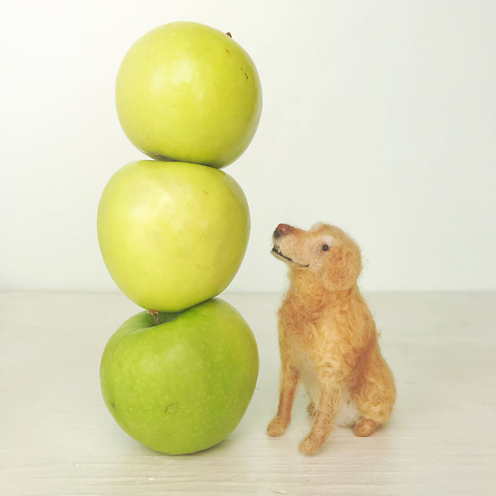 Artist Creates Adorable Puppies From Wool, And They Look So Real Artist Creates Adorable Puppies From Wool, And They Look So Real