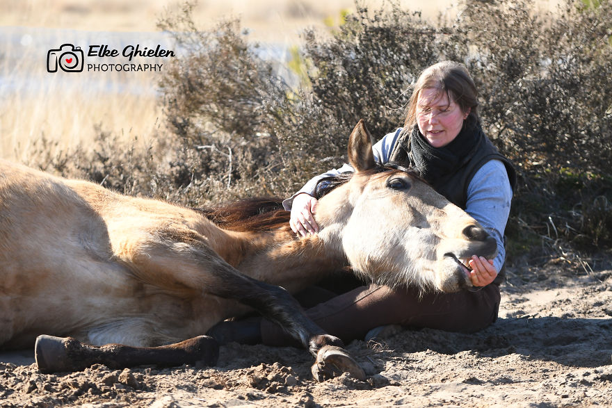 The Love And Trust Between These Horses And Owner Is Amazing The Love And Trust Between These Horses And Owner Is Amazing