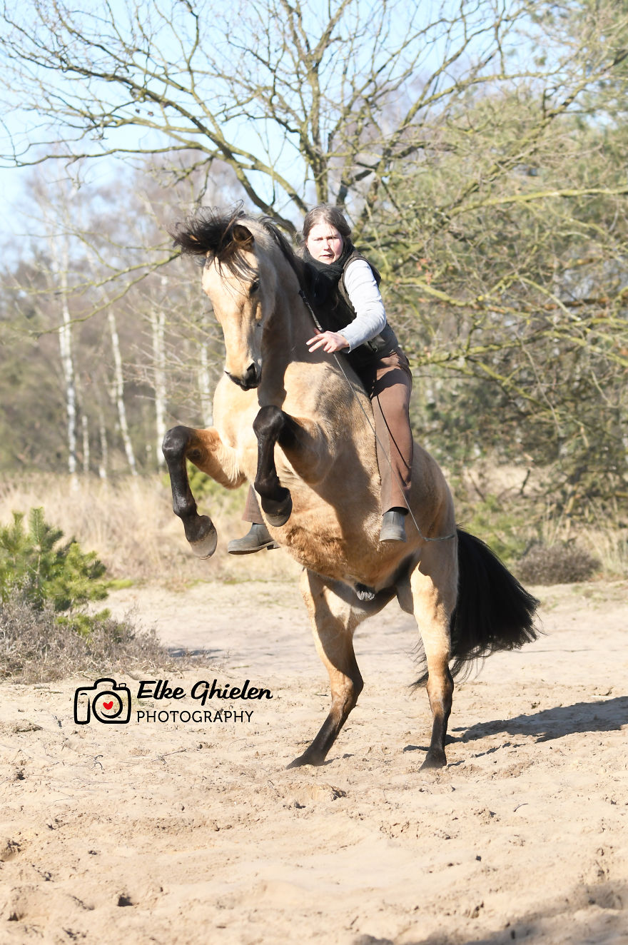 The Love And Trust Between These Horses And Owner Is Amazing The Love And Trust Between These Horses And Owner Is Amazing
