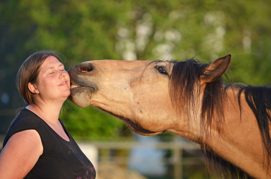The Love And Trust Between These Horses And Owner Is Amazing The Love And Trust Between These Horses And Owner Is Amazing