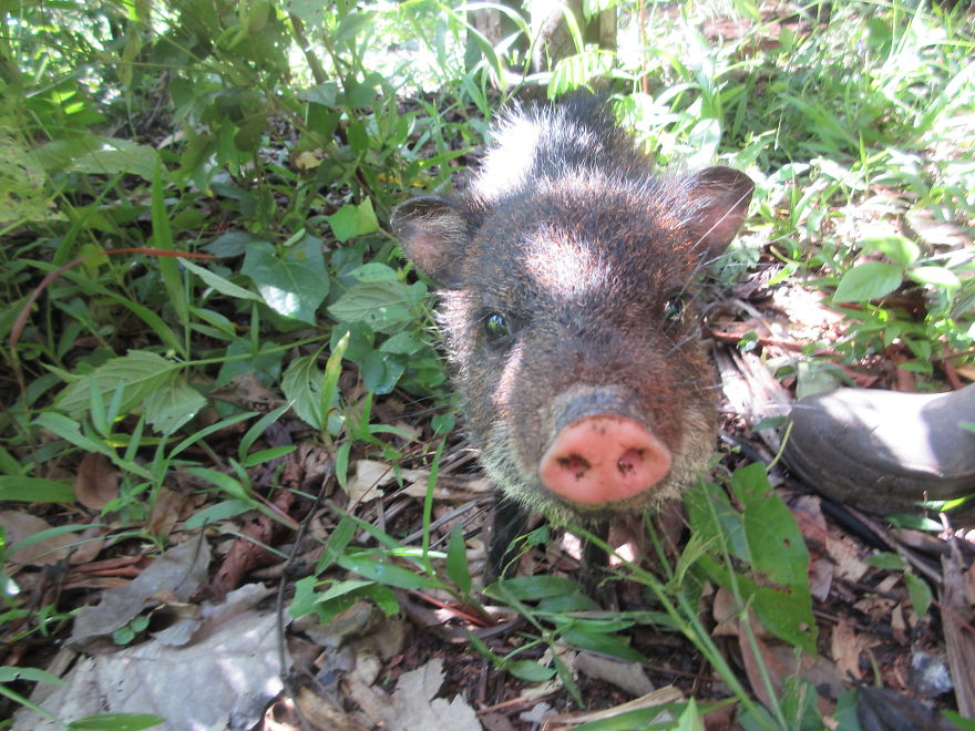 We Spent 5 Months In The Jungles Of South America, And Saw Some Crazy Things! We Spent 5 Months In The Jungles Of South America, And Saw Some Crazy Things!