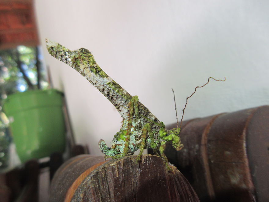 We Spent 5 Months In The Jungles Of South America, And Saw Some Crazy Things! We Spent 5 Months In The Jungles Of South America, And Saw Some Crazy Things!