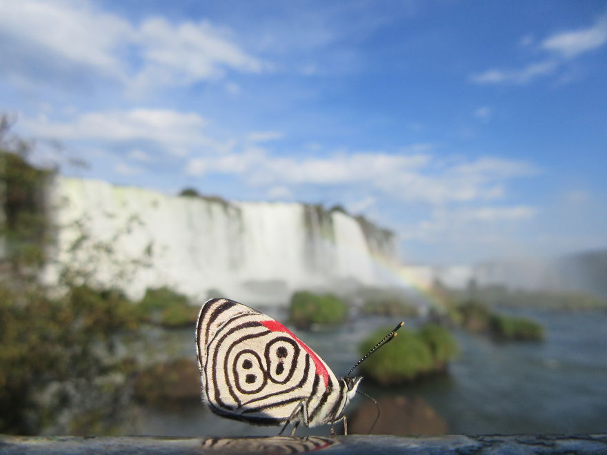 We Spent 5 Months In The Jungles Of South America, And Saw Some Crazy Things! We Spent 5 Months In The Jungles Of South America, And Saw Some Crazy Things!