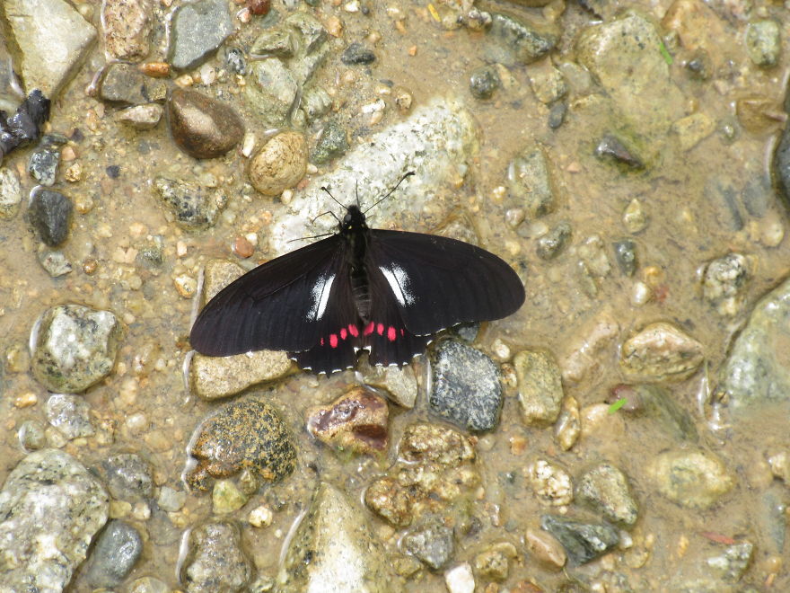 We Spent 5 Months In The Jungles Of South America, And Saw Some Crazy Things! We Spent 5 Months In The Jungles Of South America, And Saw Some Crazy Things!