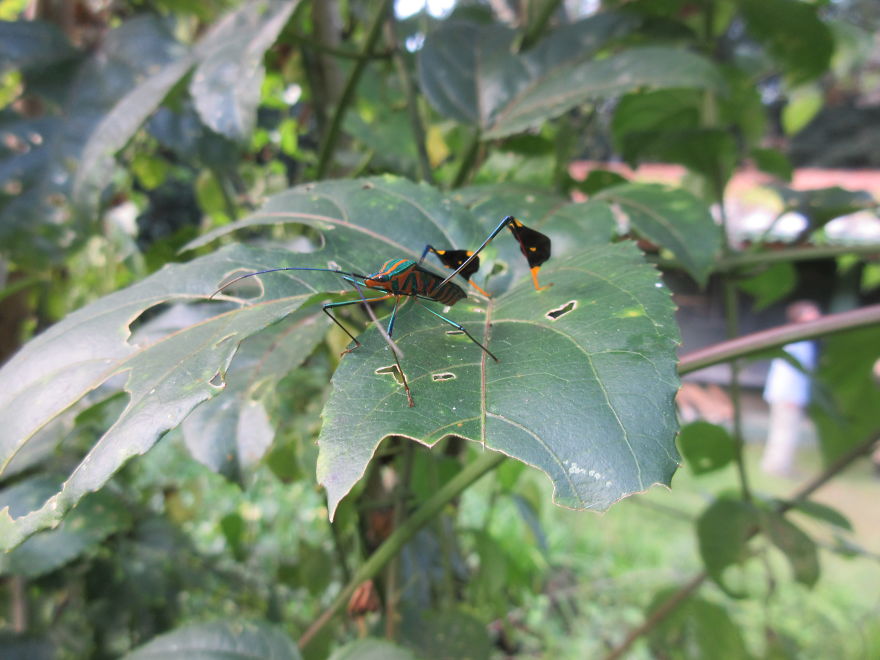 We Spent 5 Months In The Jungles Of South America, And Saw Some Crazy Things! We Spent 5 Months In The Jungles Of South America, And Saw Some Crazy Things!